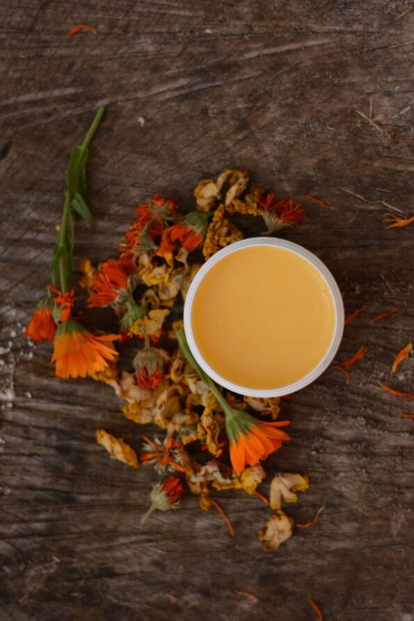 maść z nagietka i dziewanny 